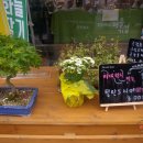 함해국자연을닮은카페 네이버블로그
