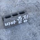 바바월정 민박 네이버블로그