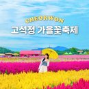 철원밧데리 | 강원도 철원 고석정 꽃밭 가을꽃축제 실시간 후기 사진꿀팁 | 추석 가볼만한곳