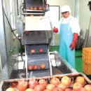 삼성농원 이미지