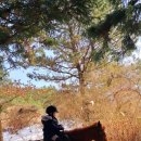 장구랍 Daum카페