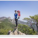 우두산 Daum카페