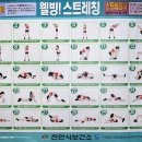 웰빙스트레칭 Daum카페