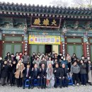 달마사