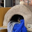 벼리농장 이미지