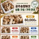 농업회사법인(유)하늘김치 | 송향버섯표고버섯송이버섯송향버섯버섯요리 공주 레시피 경험기