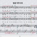 빛을 비추시네_Lee Dengler(3부합창) 이미지