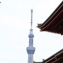 자연애 민박 이미지