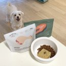 고위드테일 이미지