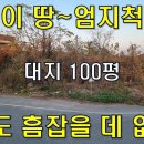 이 땅~엄지척 대지100평 싸도 흠잡을 데 없다[땅지통] 이미지