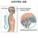 예손바디케어 이미지