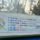 넓은 잔디밭과 수영장만으로도 아이들천국! 포천 넓은마당 캠핑장 2박 14번 타프존