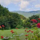 꽃담민박 이미지