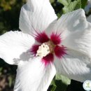 힘차게농장 이미지