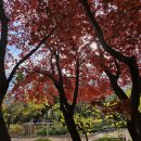 자매근린공원 이미지