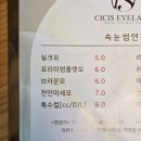 씨씨즈속눈썹 이미지