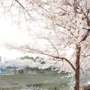 김포농협풍무동지점 이미지