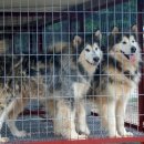 호경농장 이미지