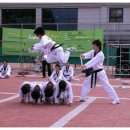 경희TSJ 태권스쿨 이미지