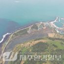 비양도의 비양나무자생지 이미지