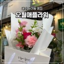 믹스매치플라워구리꽃집 | [대전 둔산동/꽃집] 오월애플라워 대전 꽃다발 선물 후기