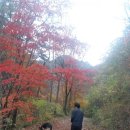 피아시계곡 짱구네민박 이미지