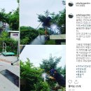 시리미자연놀이체험장