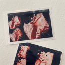 오독스튜디오