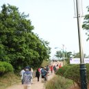 영수목장 이미지