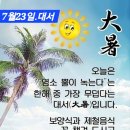 ‘붕(朋)' 이미지