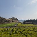 한라카냉동서비스 | 제주도 이사 2탄(끝)/한라서비스 자동차 탁송 가격+후기