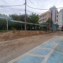 공공벌목
