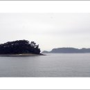 숙호 Daum카페