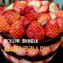 파네토네 | 성심당 크리스마스 시즌 빵 파네토네·딸기시루 케이크 후기