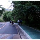 왕벌농장 이미지