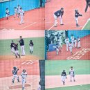 야구대장