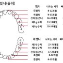 서울바로나치과병원 이미지