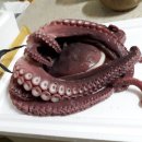 성용수산 네이버블로그