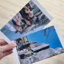 불무중 | 무안 가을 나들이｜불무공원 행사＋물맞이공원 숲길 산책코스