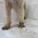 와니살롱 이미지