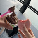 나래목장 | [안산 대부도] 피크닉하기 좋은 드라이브코스 “시화나래휴게소” (+달전망대) 솔직후기