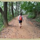 계족산황톳길 이미지