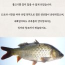 영란무역 | 청어의 헤엄으로 바뀐 역사