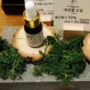 서정희 &lt;혼자 사니 좋다&gt;를 읽고~