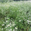 진동리주차장2(주차장 내) 이미지