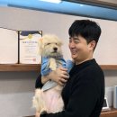 펫바이탈랩 전자신문