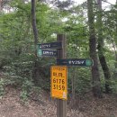 울산중앙고등학교 | 울산 입화산(204m) [중앙고-태화저수지-전망대-정상] 등산후기