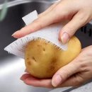 대성야채;과일
