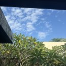 쌍책제 자전거 보관소 1 | 사누르 안다즈 발리 숙박 후기 * 조식 * 자전거 * 체크아웃 이후 이용 팁