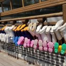 함께펜션 이미지